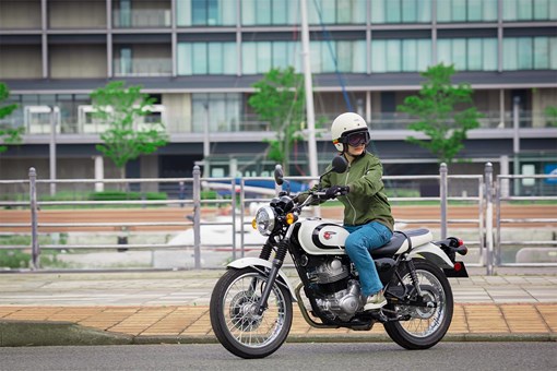 2025 Kawasaki W 230 ABS-Metallic Ocean — photo 6