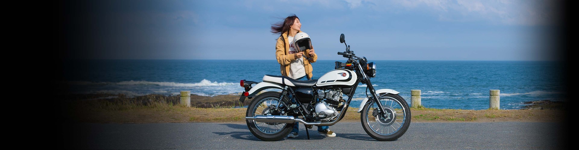 2025 Kawasaki W 230 ABS-Metallic Ocean — photo 4