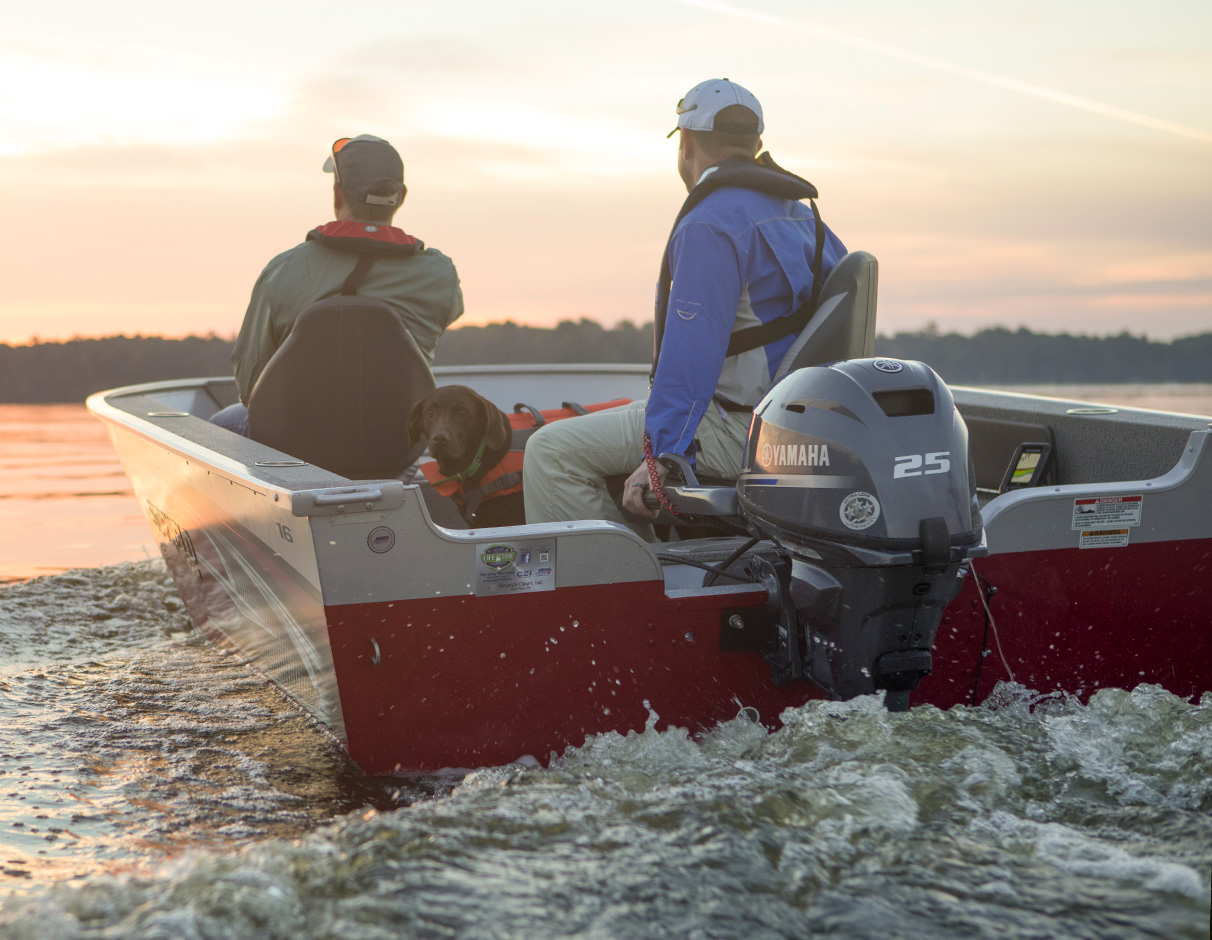2025 Yamaha 25hp Long Shaft, Manual Start, — photo 2